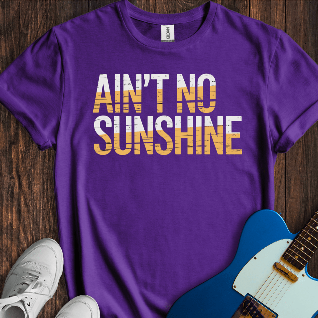 Ain't No Sunshine T-Shirt